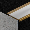 VisioEdge 410 - Standard Carpet Aluminium with Aluminium Insert